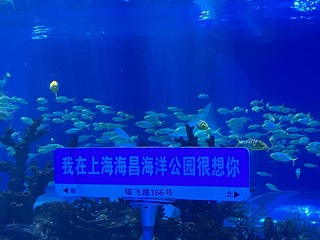 08D96E8E-32F5-494C-BEF3-660FE12DFE39/L0/001
