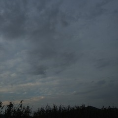 1000114651