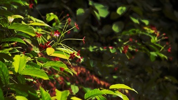 A8E517CB-916B-4716-BC07-C0FE6C2DE5F9/L0/001