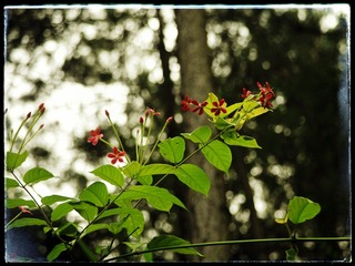 11992E86-F408-4CA0-A29A-9C1ACD11BCB1/L0/001