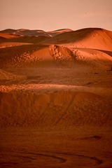 0BC7DBD9-008B-43CD-BEC0-440F831C8B82/L0/001