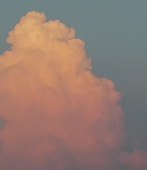 1242093