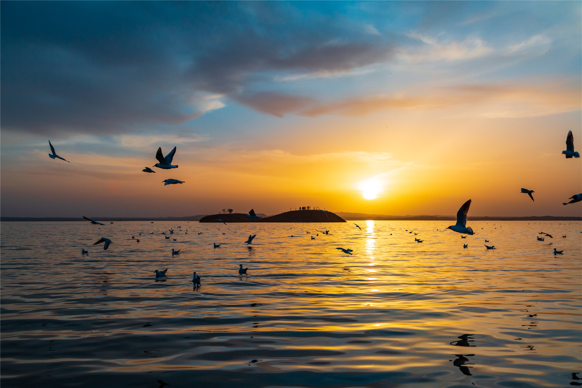 四月到乌海湖看红嘴鸥,乌海是内蒙古的一个小众旅游目的地 - 背包行天