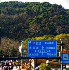 2159778