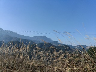 1000054130