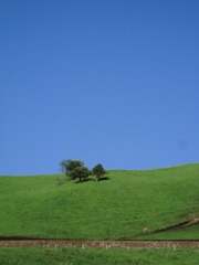 A9C3E3E7-1751-4470-9CF7-21E67EEC1319/L0/001