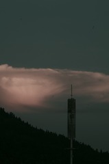 1000018403