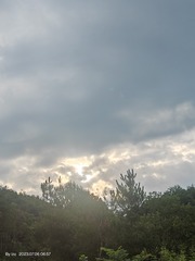 1000001168