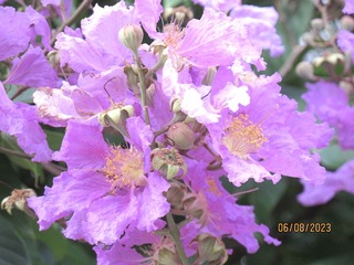 A431F394-578F-42AB-A846-24161E0C7A9B/L0/001