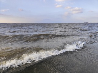 1000029152