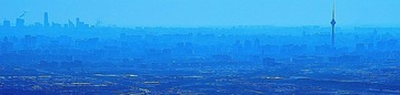 _DSC5337.jpg