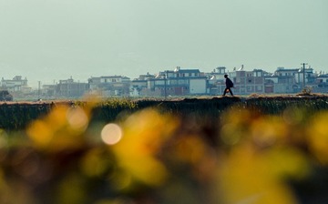 _DSC1064.jpg