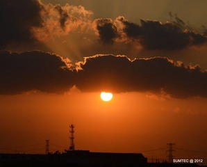 DSC_0491.JPG
