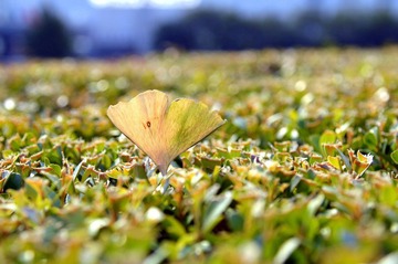 DSC_0232.JPG