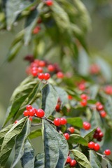 DSC_0253.JPG
