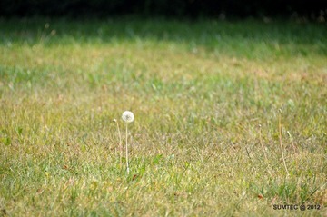 DSC_0289.JPG