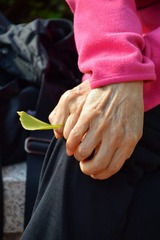 DSC_0226.JPG