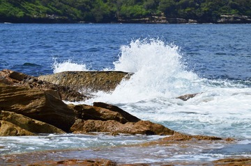 DSC_0873_T.jpg