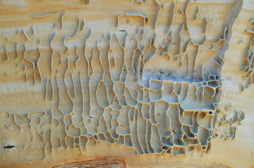 DSC_0051_T.jpg