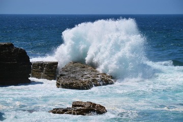 DSC_0248_T.jpg