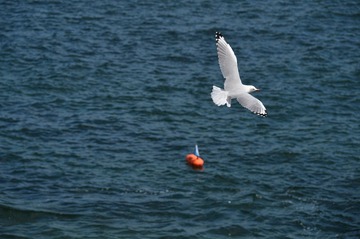 DSC_0865_T.jpg