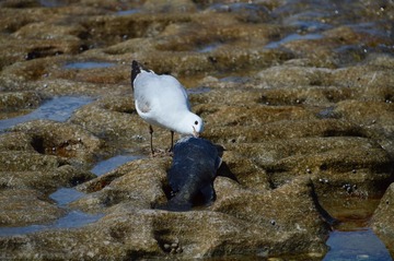 DSC_0019_T.jpg