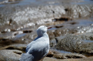 DSC_0070_T.jpg