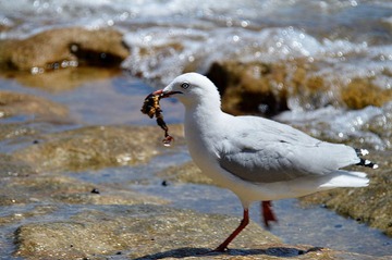 DSC_0077_T2.jpg