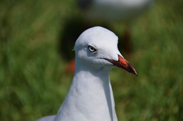 DSC_0207_T.jpg