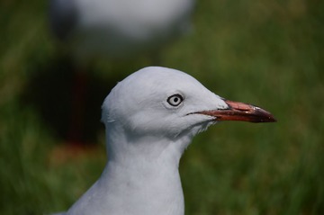 DSC_0208_T.jpg