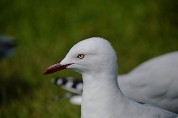 DSC_0211_T.jpg