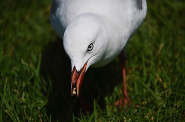 DSC_0215_T.jpg