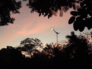 1085159