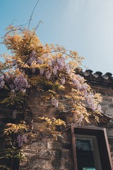 18941