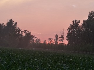 284294