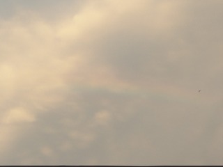 1000002275