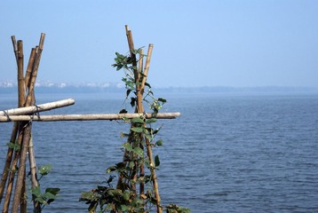那湖