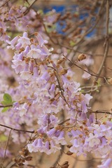 20105