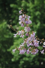 20080