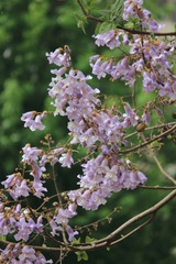 20081
