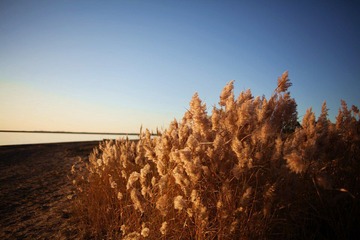 IMG_0339.jpg