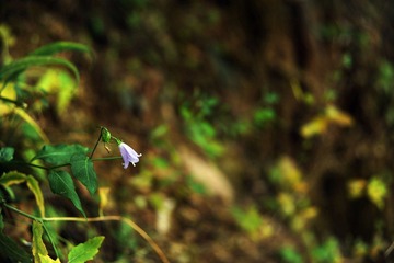 DSC_1202复件.jpg