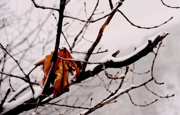 DSC_2027.JPG
