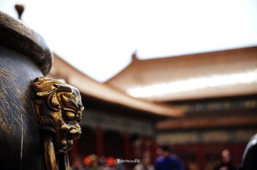 DSC_2875复件.jpg