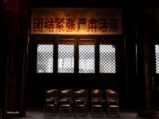 DSC_3539.JPG