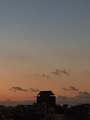1000011061