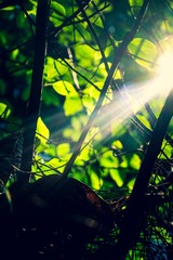 3CCA78C8-CF2E-4D80-92BC-A4FAE0398D3D/L0/001