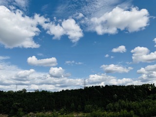 C3123820-DE70-4D5E-B49F-B38EDF70B342/L0/001