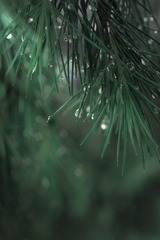 A7B9FAAA-6EC8-42D7-9085-3D2C7A4FBCFD/L0/001