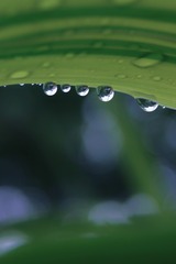 56E99C03-F14F-4EAE-9E9F-48D590AB0DA7/L0/001